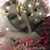 Angela Loomis's profile image