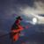 Diana Adams Critchfield's profile image