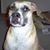 Terrie C. Williams's profile image