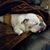Mike Lamphier's profile image