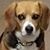 Mary L. Singler's profile image