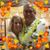 Robin Lanning Miller's profile image