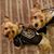 Linda Scagnelli Berwick's profile image