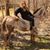 Sherry Lindsey Miller's profile image