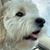 Stacy Sockwell's profile image