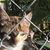 Ribbie Harris's profile image