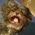 Jovon Potter's profile image