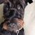 Diane Duffy's profile image