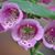 Kathy Kelley's profile image