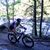 Tracy MG Riggs's profile image