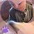 Beth Williams's profile image