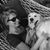Janelle Gorfinkle's profile image
