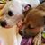 Leilani C Gremillion's profile image