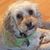 Ed Margenat's profile image
