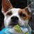 Lori Tinjum Johansen's profile image