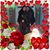 Aura Marroquin's profile image