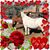 Diane Lane's profile image