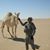 William Potts's profile image