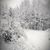 Denise Hoover Thompson's profile image