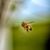 Lucinda H White's profile image