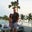 David Schrader's profile image