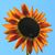 Ron Haislip-Hansberry's profile image