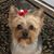 Patty Bailey Smith's profile image