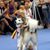 Marina Bystrova's profile image