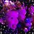 Kate Balek's profile image