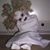 Brandy Labiche's profile image