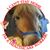 Kris Williamson's profile image
