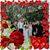 Jackie Kornowski's profile image