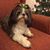 Joni Marvel Teddleton's profile image