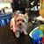 Jane Hayes LeGault's profile image