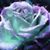 Sonja Howard's profile image
