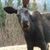 Chuck Baldwin's profile image