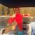 Tony Robinson's profile image