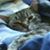 Becka Dz's profile image
