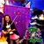 Angie Morelli's profile image