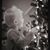 Jennifer Lynn Savakinas's profile image