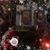 Carolyn Ford's profile image