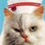 Tina Jones's profile image