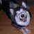 John Wright's profile image