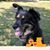 Meghan Guse's profile image