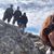 Tracy Picha Bober's profile image