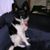Tom Birkholz's profile image