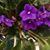 Emily Whittle's profile image
