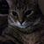 Jeanette Andreas Smead's profile image