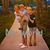 Carol Redding Wood's profile image