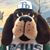 RayDog Tampabay's profile image